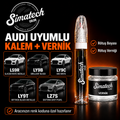 SimatechColor Audi Uyumlu Rötuş Kalemi + Vernik
